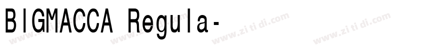 BIGMACCA Regula字体转换 BIGMACCA Regula字体转换